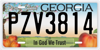 GA license plate PZV3814