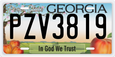 GA license plate PZV3819