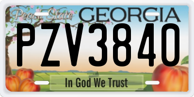 GA license plate PZV3840