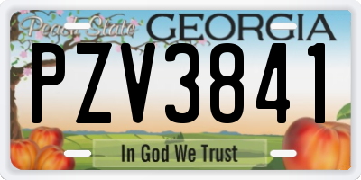 GA license plate PZV3841