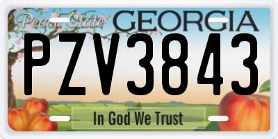 GA license plate PZV3843