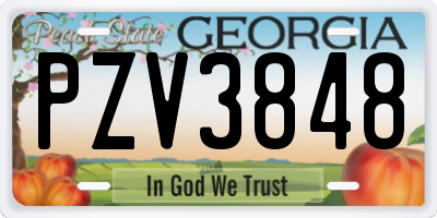 GA license plate PZV3848