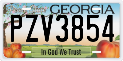 GA license plate PZV3854