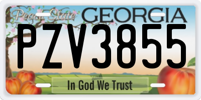 GA license plate PZV3855