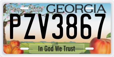 GA license plate PZV3867