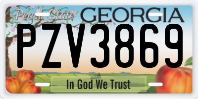GA license plate PZV3869