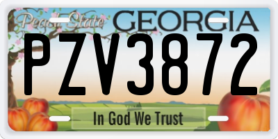 GA license plate PZV3872