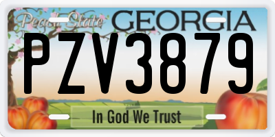 GA license plate PZV3879