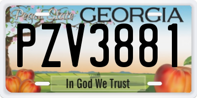 GA license plate PZV3881