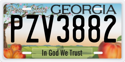 GA license plate PZV3882