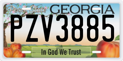 GA license plate PZV3885