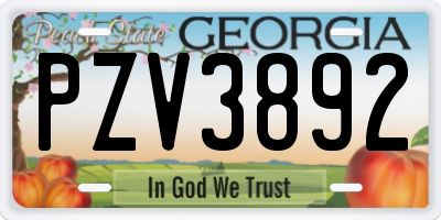 GA license plate PZV3892