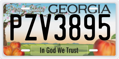 GA license plate PZV3895