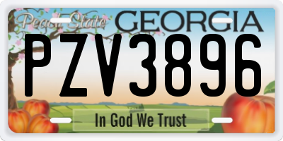 GA license plate PZV3896