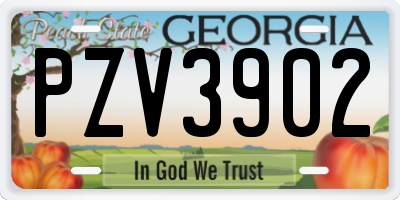 GA license plate PZV3902