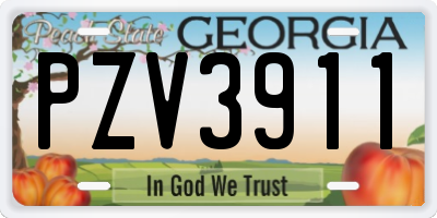 GA license plate PZV3911