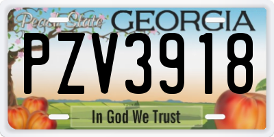GA license plate PZV3918