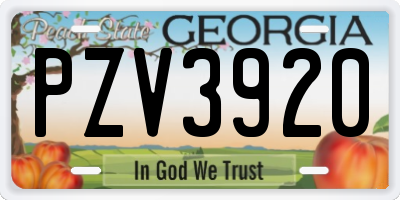 GA license plate PZV3920