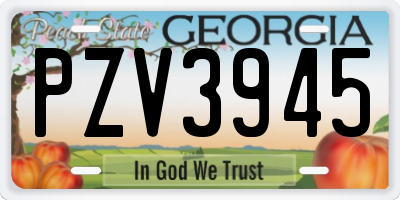 GA license plate PZV3945