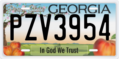 GA license plate PZV3954
