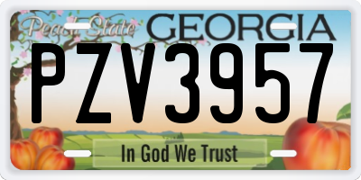 GA license plate PZV3957