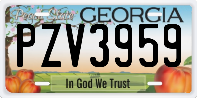 GA license plate PZV3959