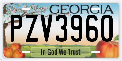 GA license plate PZV3960