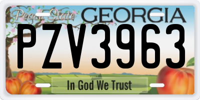 GA license plate PZV3963
