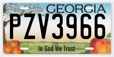 GA license plate PZV3966
