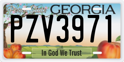 GA license plate PZV3971