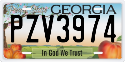 GA license plate PZV3974