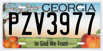 GA license plate PZV3977