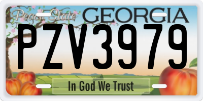 GA license plate PZV3979
