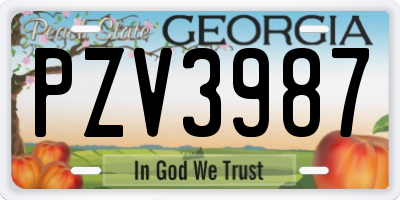 GA license plate PZV3987