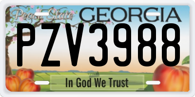 GA license plate PZV3988