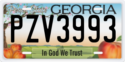 GA license plate PZV3993