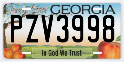 GA license plate PZV3998