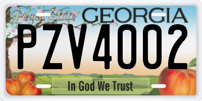 GA license plate PZV4002