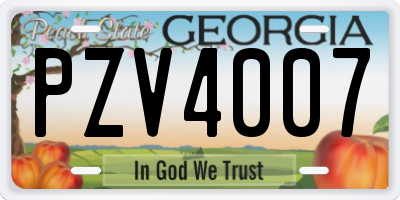 GA license plate PZV4007
