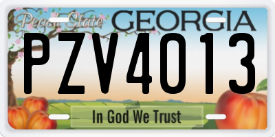 GA license plate PZV4013