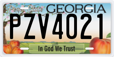 GA license plate PZV4021