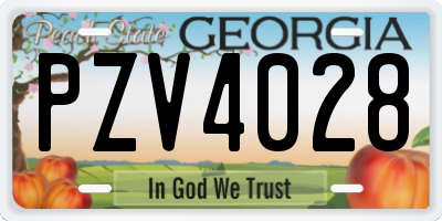 GA license plate PZV4028