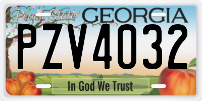 GA license plate PZV4032