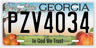 GA license plate PZV4034