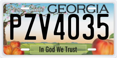 GA license plate PZV4035