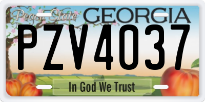 GA license plate PZV4037