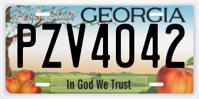 GA license plate PZV4042