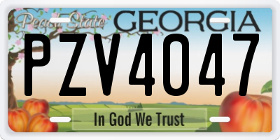 GA license plate PZV4047
