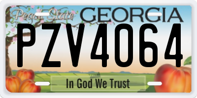 GA license plate PZV4064
