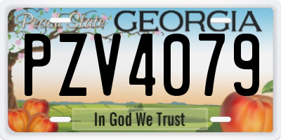 GA license plate PZV4079